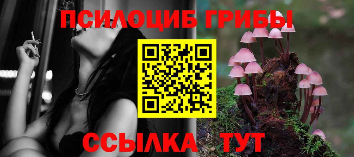 Сергиев Посад  Галлюциногенные грибы мухоморы  Вход с VPN 